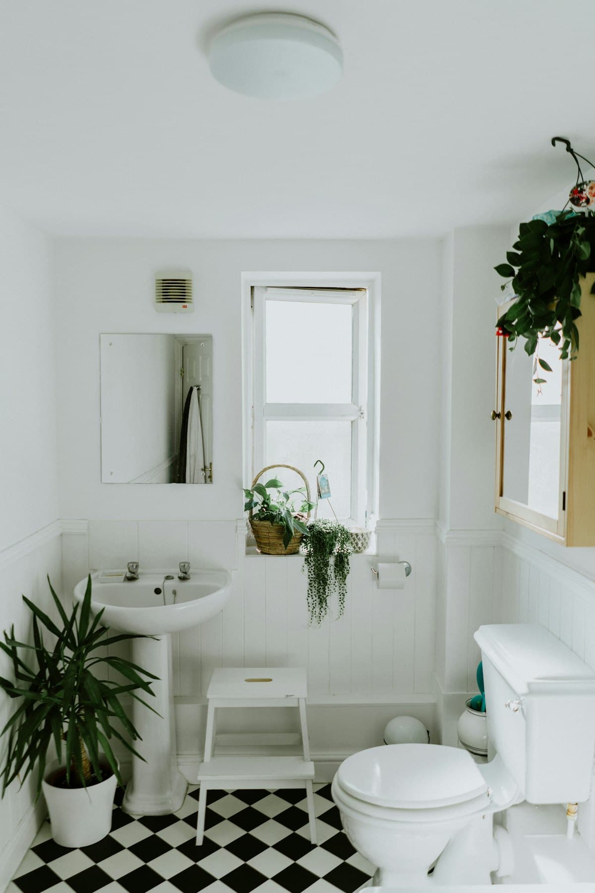 Modern San Diego bathroom interior with premium fixtures