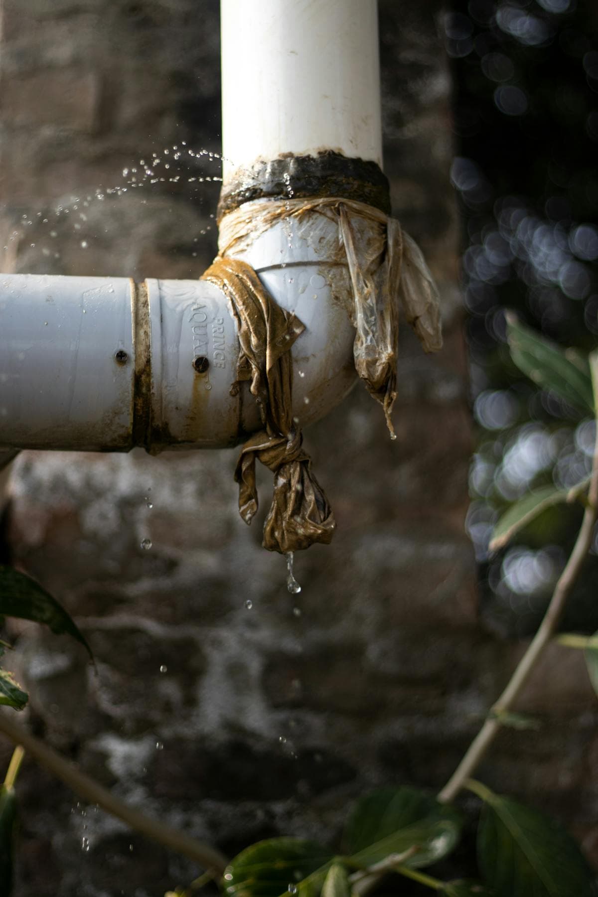 Leaking pipe joint with water seeping from a worn fitting